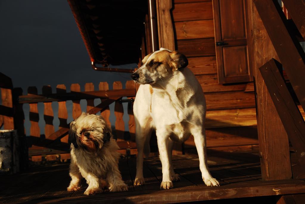 Dwor Labedzie W Kiermusach Kiermusy Exterior foto